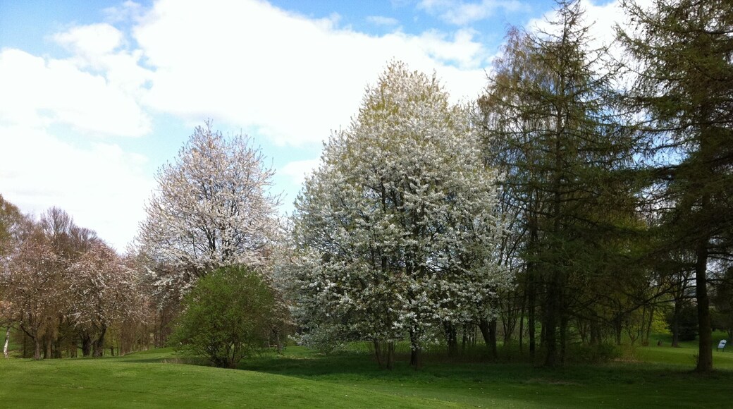 Lippischer Golfclub in Cappel (Blomberg), Germany