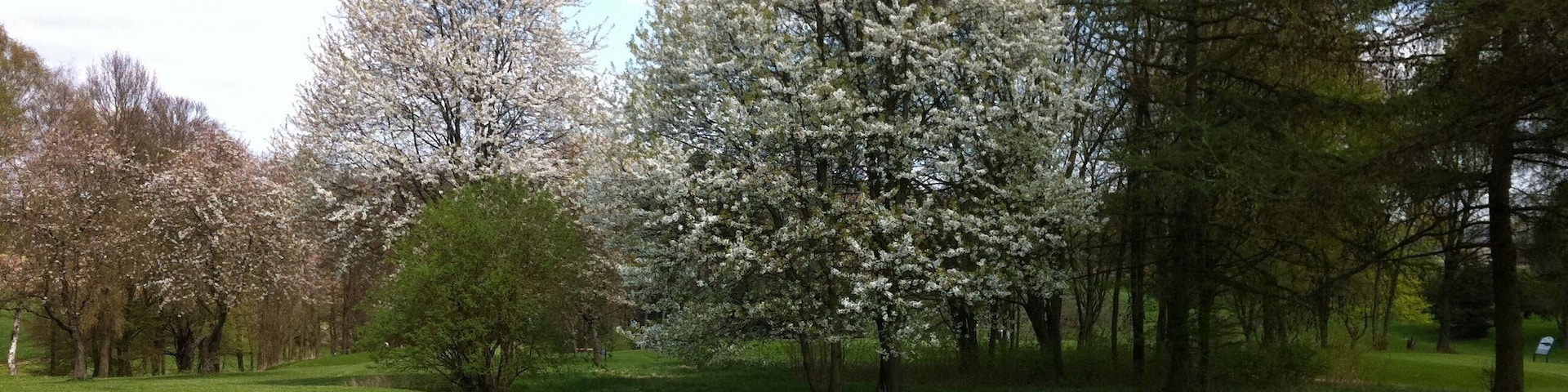 Lippischer Golfclub in Cappel (Blomberg), Germany