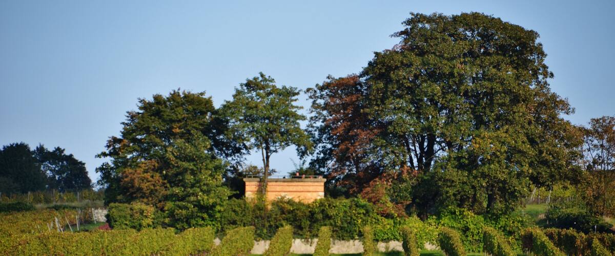 Ausblick von der Burgkirche in Ingelheim