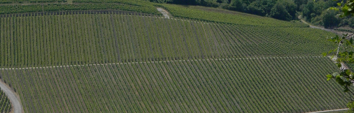 Machtum and beyond..