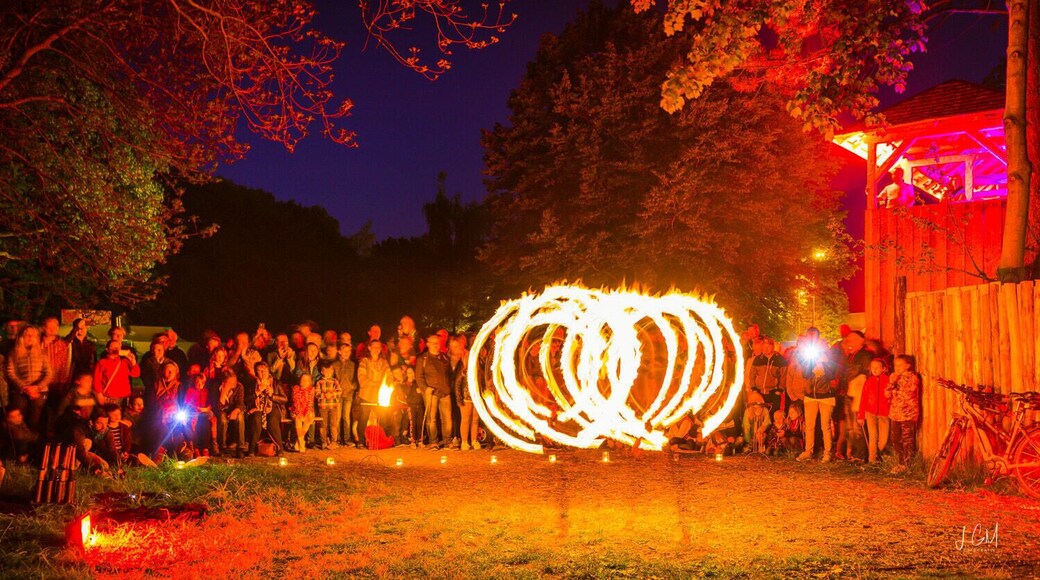 Gebiet Reichenbacher Str./Freiheitssiedlung