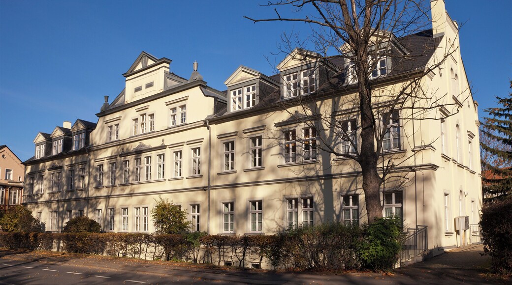 Freiberg, Saxony, Meißner Ring 8a; 8b