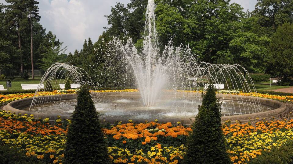A fountain surrounded by a circular flower bed with yellow and orange flowers, set in a park with trees and benches.