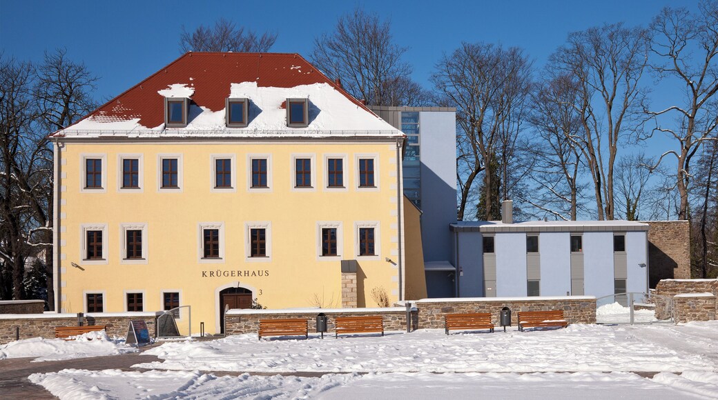 Freiberg, Krueger-Haus