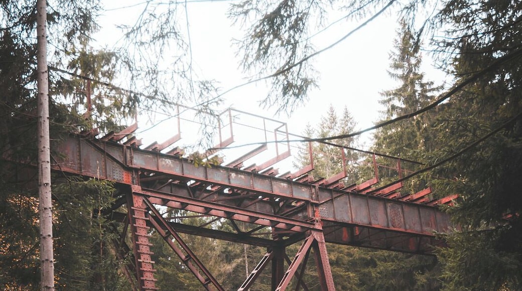 old, little trainbridge made out of metal
not in use anymore
hidden in the forest