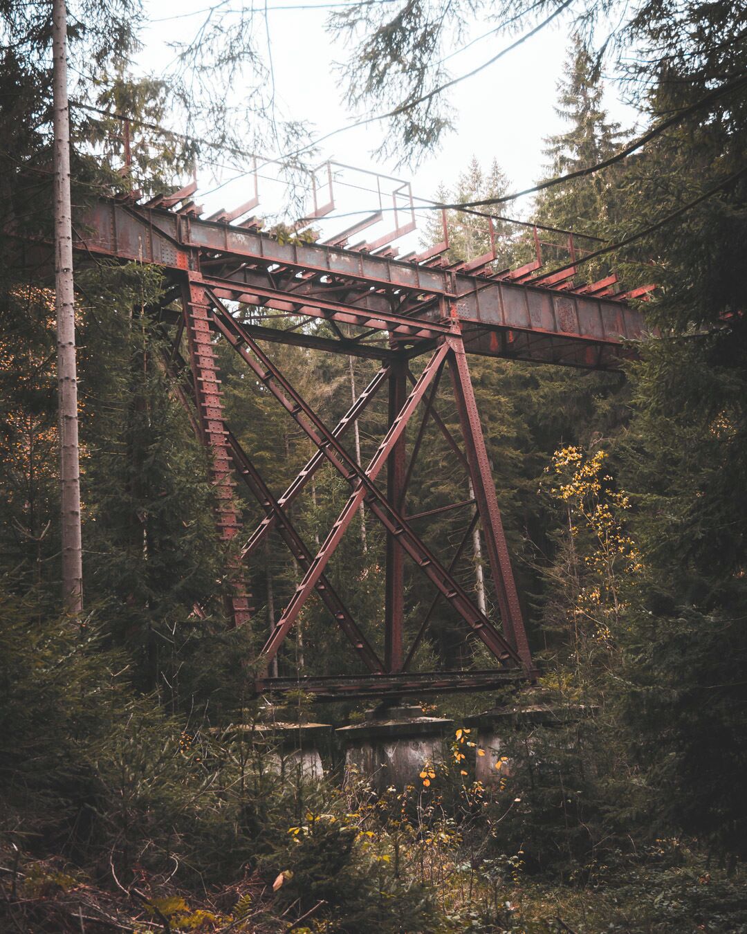 A rusted metal bridge in a forested area.