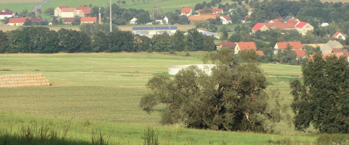 A rural landscape with rolling fields, scattered houses with red roofs, and a distant church spire.