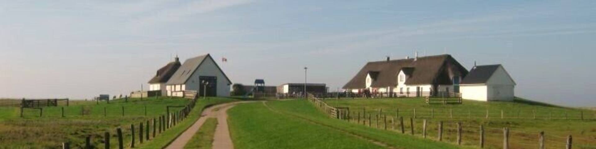 Hamburger Hallig, Reußenköge, Kreis Nordfriesland. Gebäude der Hallig, rechts der Krog.
