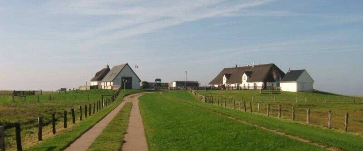 A rural landscape with a paved path leading to two farm buildings.