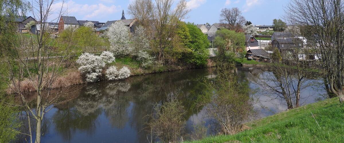 A calm river with reflections of trees and houses, surrounded by greenery and a clear sky.