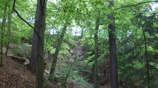 Haberkorn's quarries, former quarries on Rochlitz hill (Mittelsachsen district, Saxony) in the Mulde- und Chemnitztal protected landscape area
