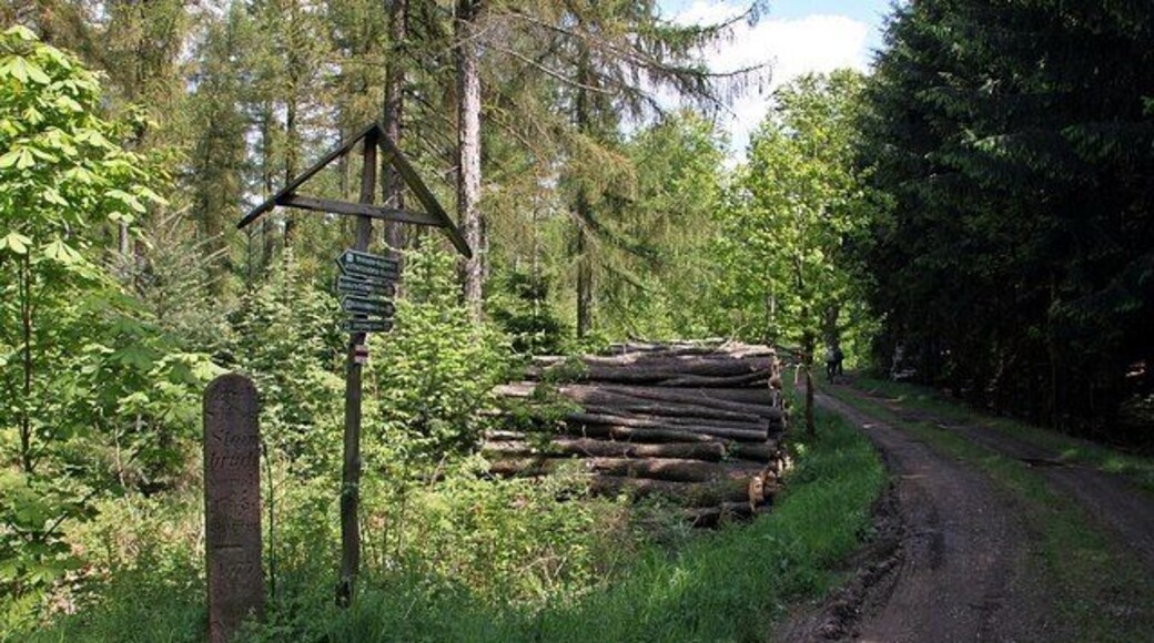 Waldweg zum Schillingschen Steinbruch am Rochlitzer Berg