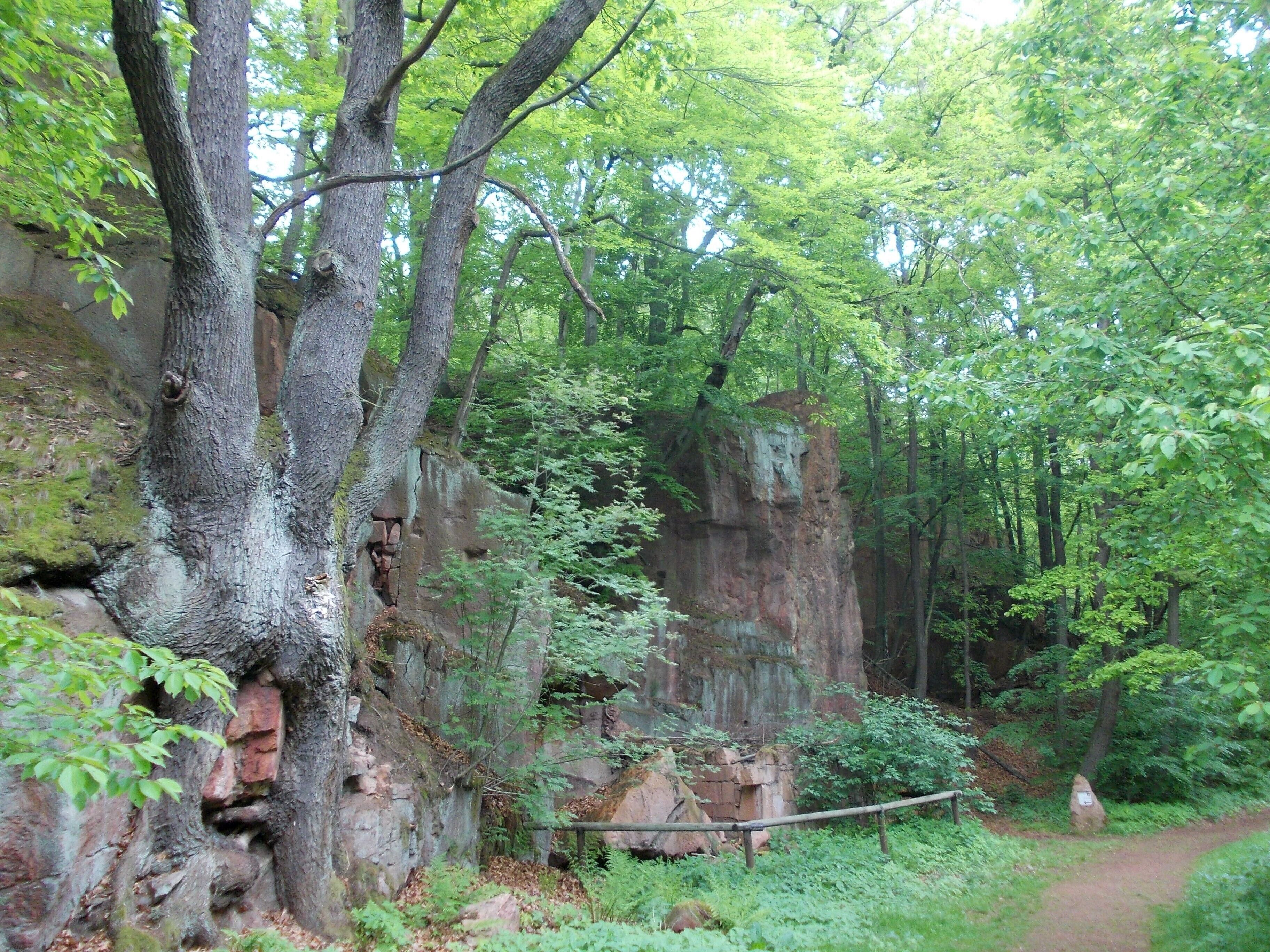 Haberkorn's quarries, former quarries on Rochlitz hill (Mittelsachsen district, Saxony) in the Mulde- und Chemnitztal protected landscape area