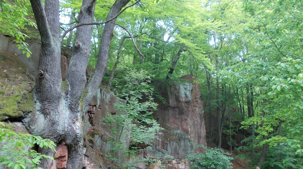 Haberkorn's quarries, former quarries on Rochlitz hill (Mittelsachsen district, Saxony) in the Mulde- und Chemnitztal protected landscape area