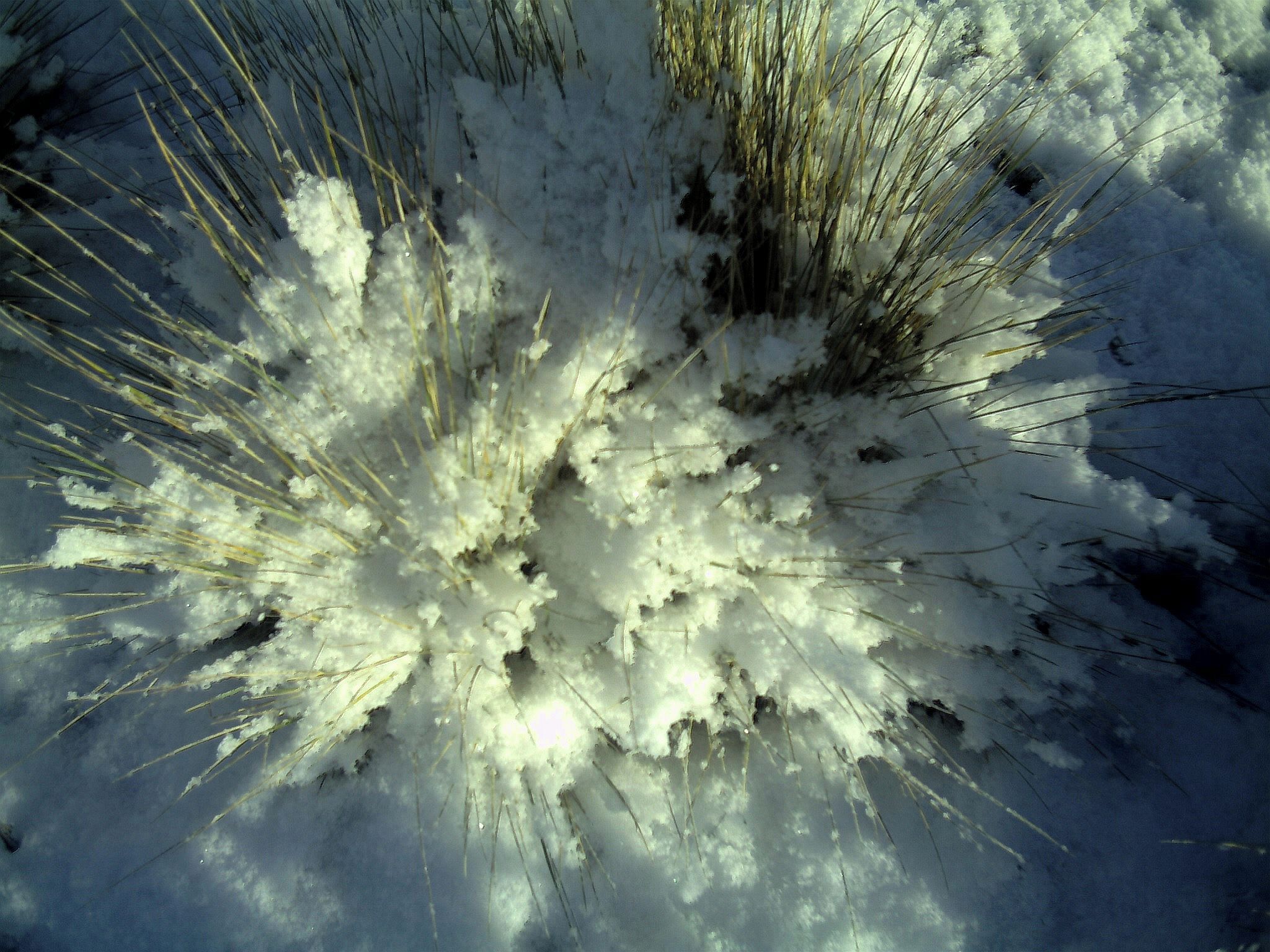 Glottertal im Winter - Mythos Black Forest Photography