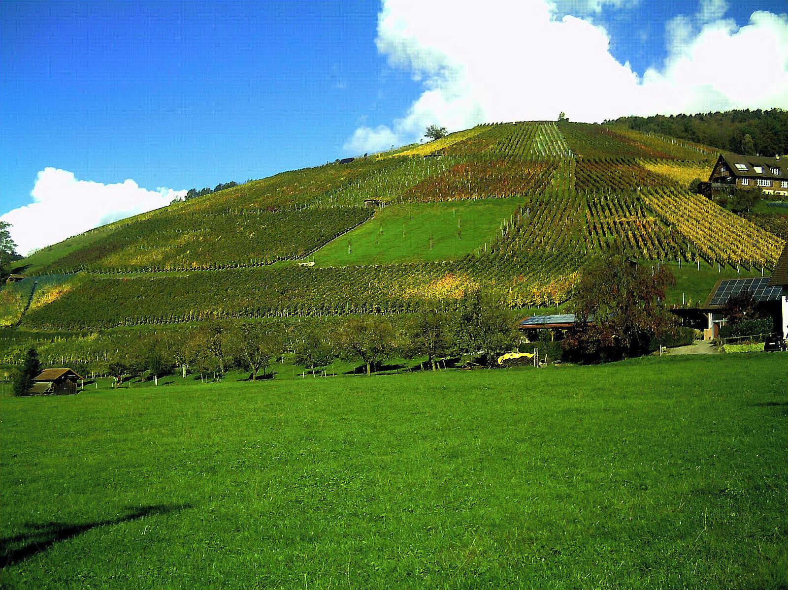 Oktober in Glottertal