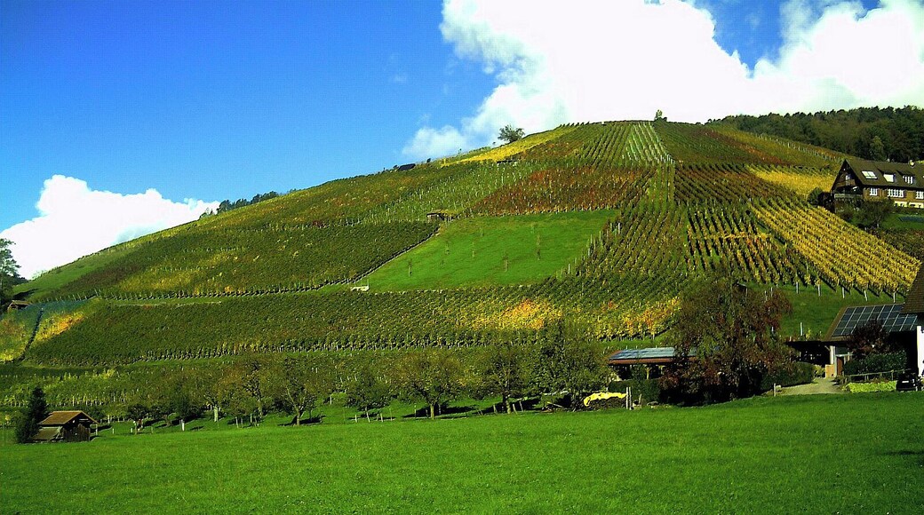 Oktober in Glottertal