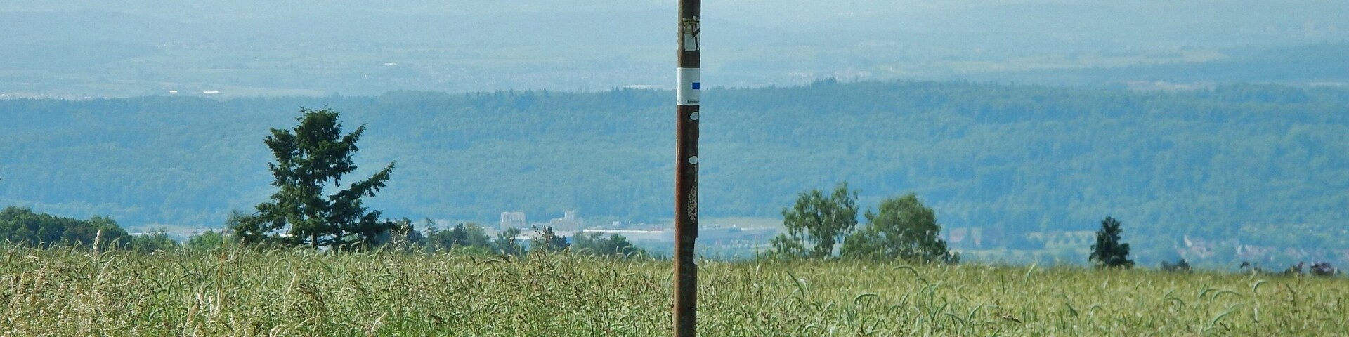 Um sinalizador de direção em um campo gramado, com montanhas ao fundo.