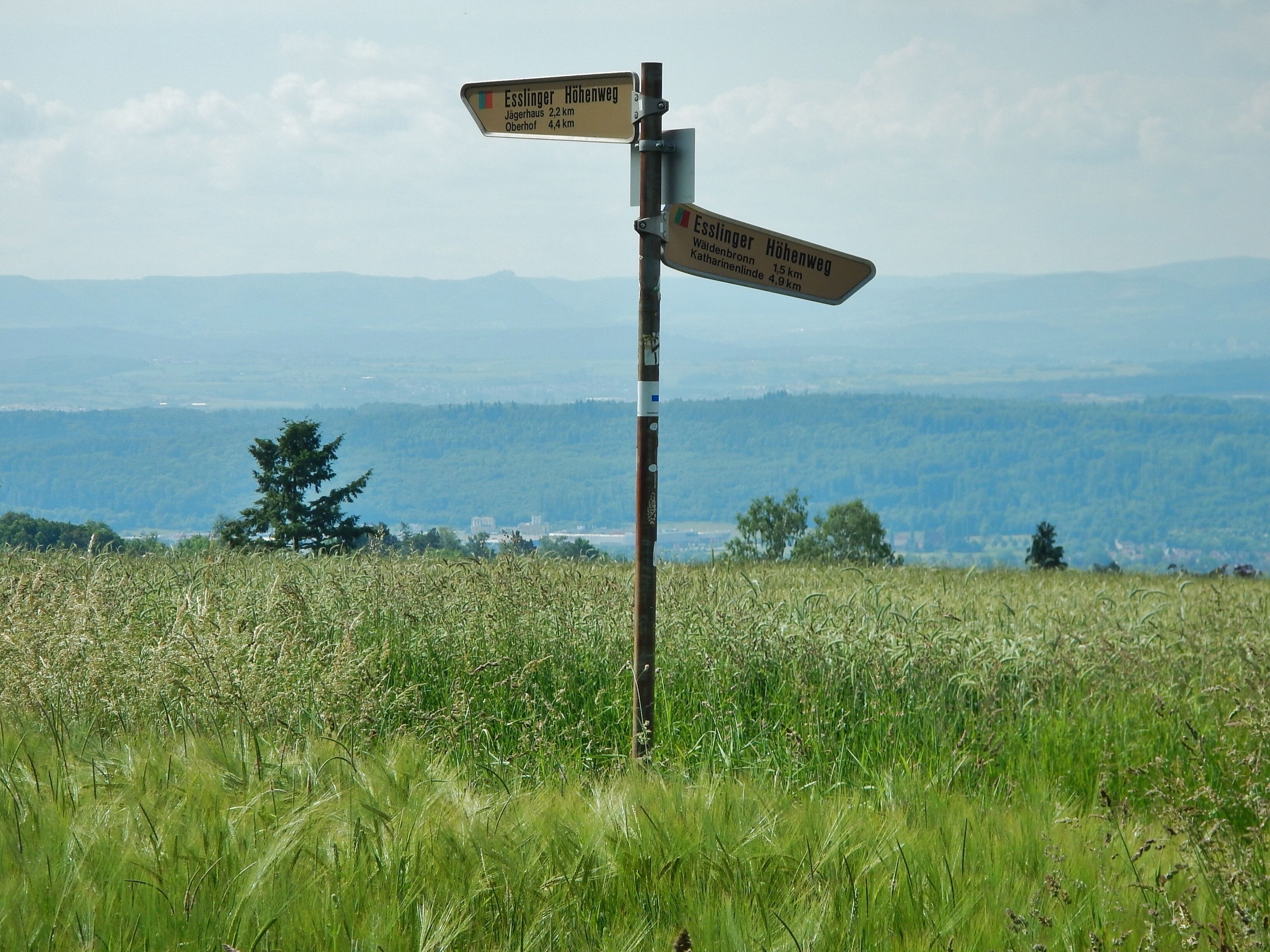 A directional signpost in a grassy field with a mountainous backdrop.
