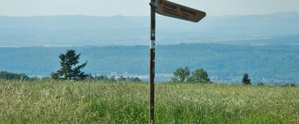 A directional signpost in a grassy field with a mountainous backdrop.