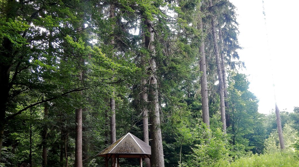 Schutzhütte