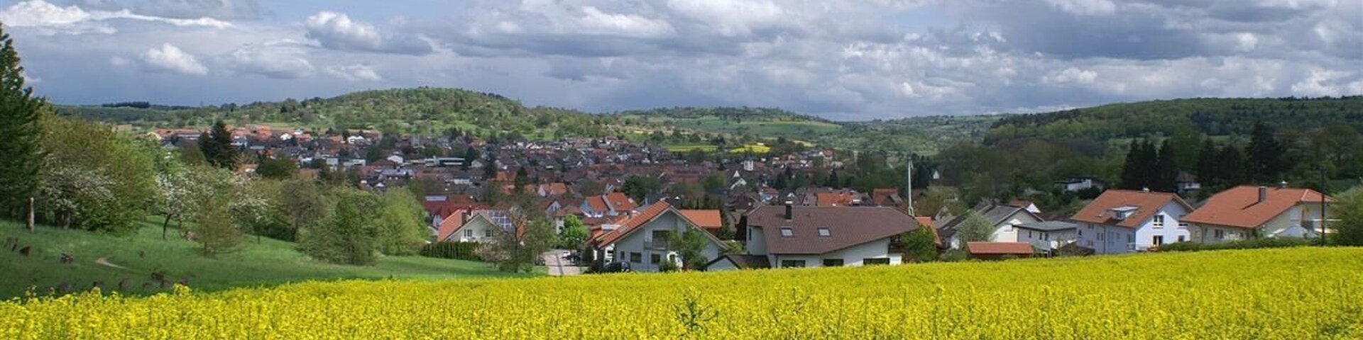 Wilferdingen Rapsfeld