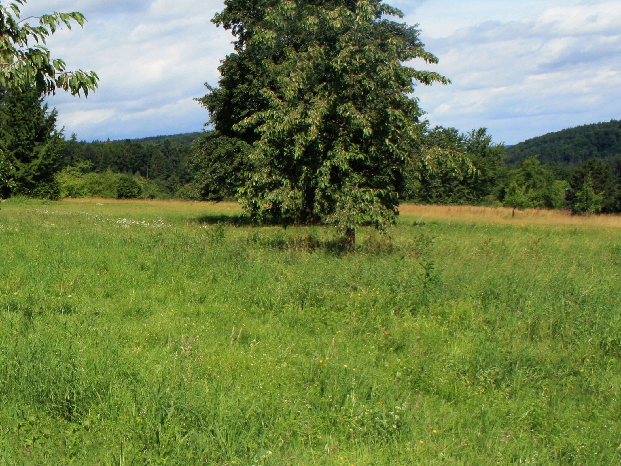 Das Pfinztal zwischen Karlsruhe und Pforzheim