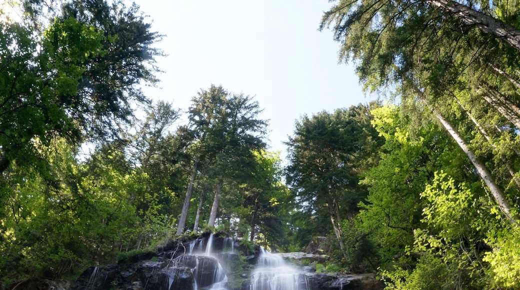 untere ZweribachfÀlle nachmittags