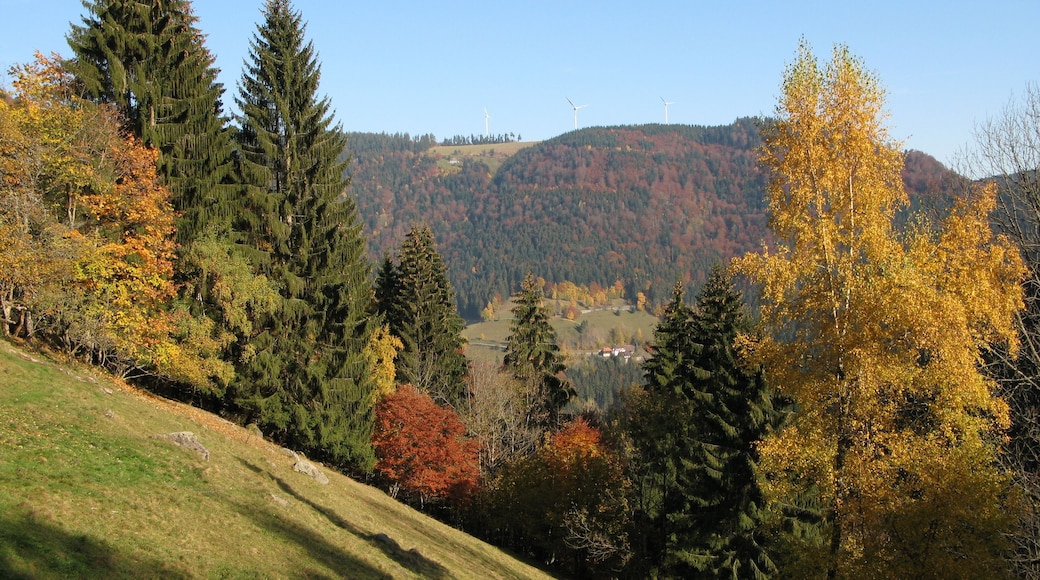 Die HintereckhĂŒtte gesehen am Vesperplatz unterhalb der ZweribachwasserfĂ€llen am ZweitĂ€lersteig im Schwarzwald.