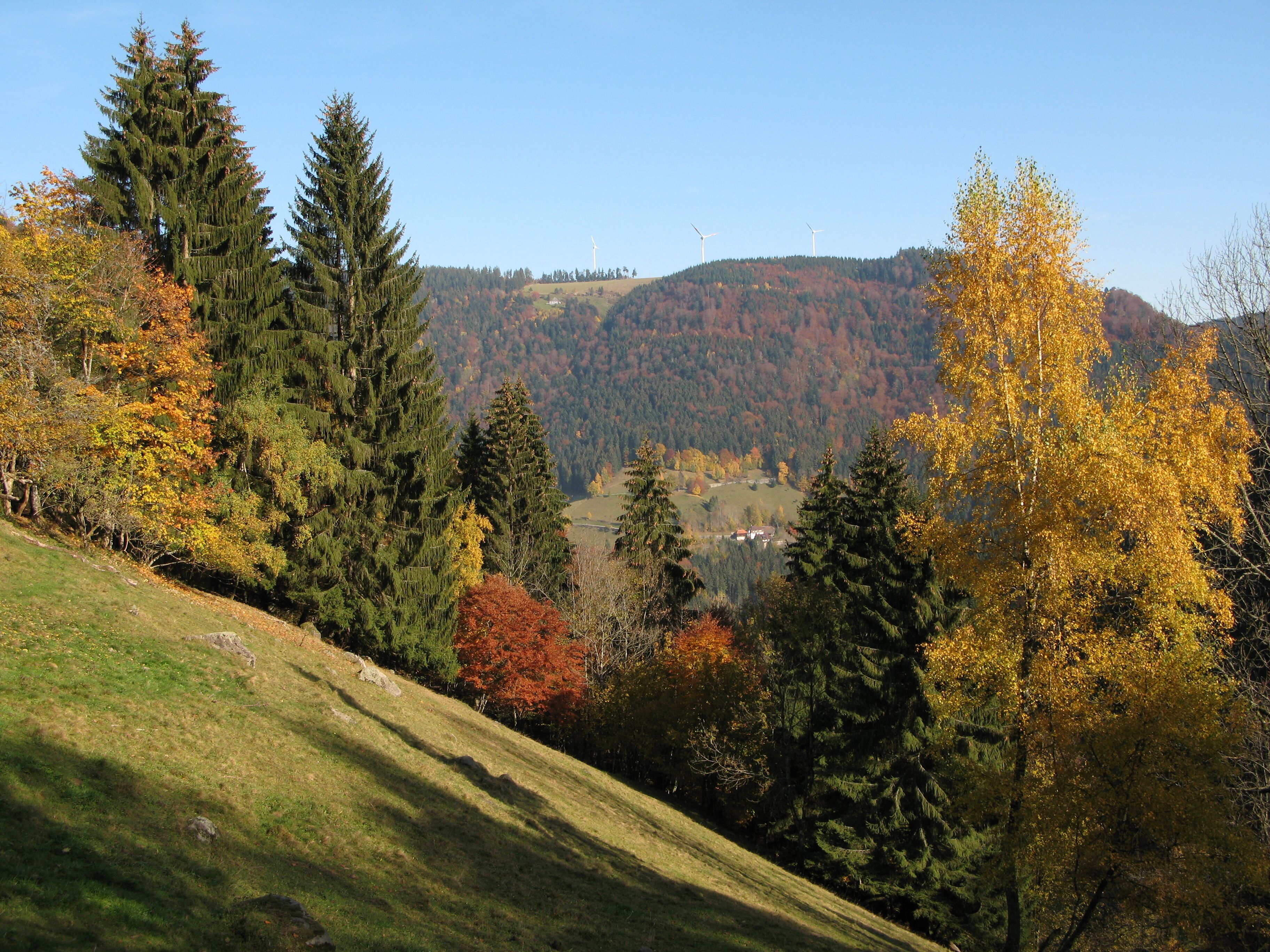 A hillside with autumn-colored trees, a grassy slope, and wind turbines in the distance.