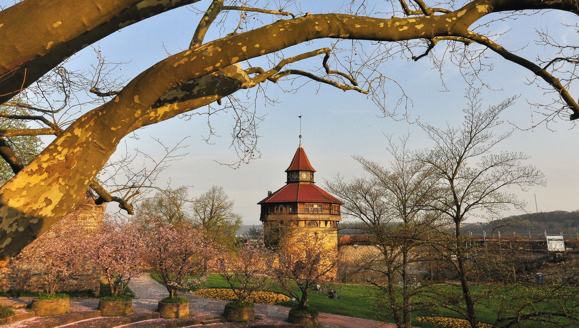 A tower with a red roof, surrounded by blooming trees and a stone pathway.