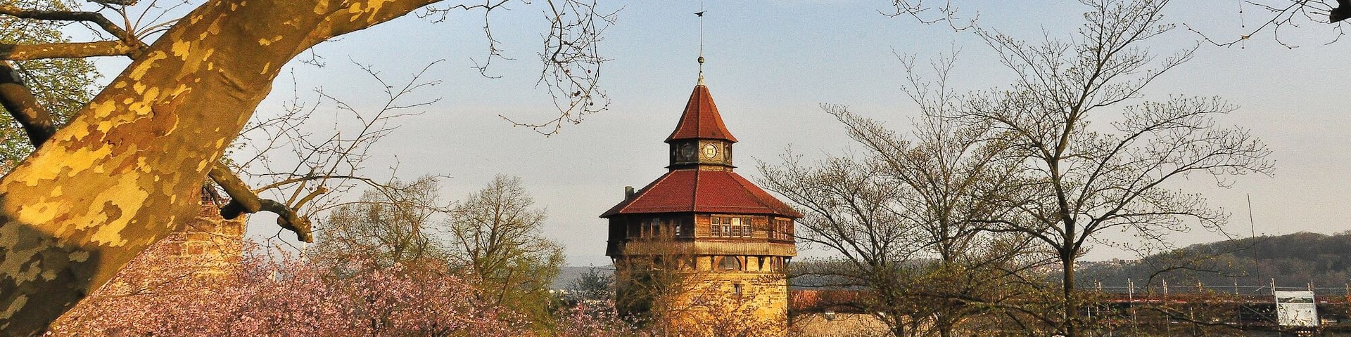 A tower with a red roof, surrounded by blooming trees and a stone pathway.
