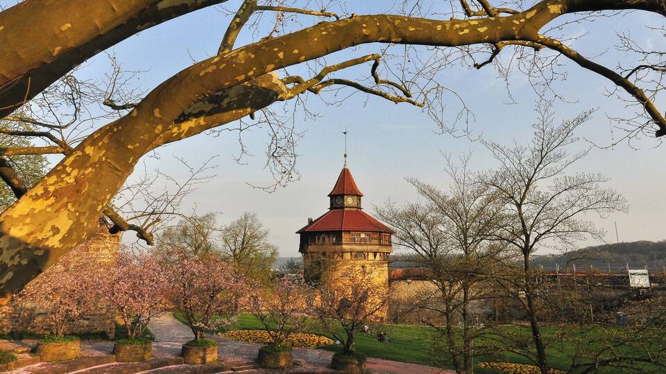 A tower with a red roof, surrounded by blooming trees and a stone pathway.