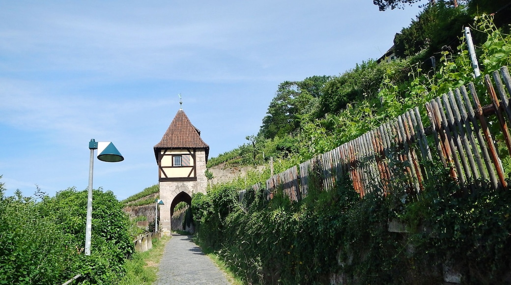 Esslinger Höhenweg, Neckarhaldenweg