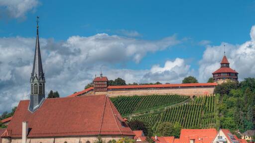 Blick von dem Wolfstorturm über die Franziskanerkirche zur Burg