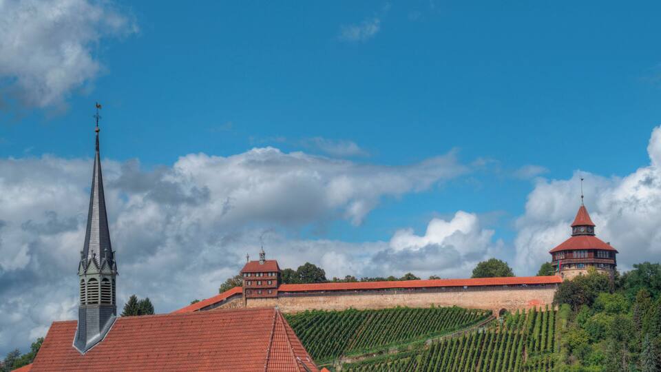 A church with a tall steeple, a castle with a red roof, and vineyards on a hillside.