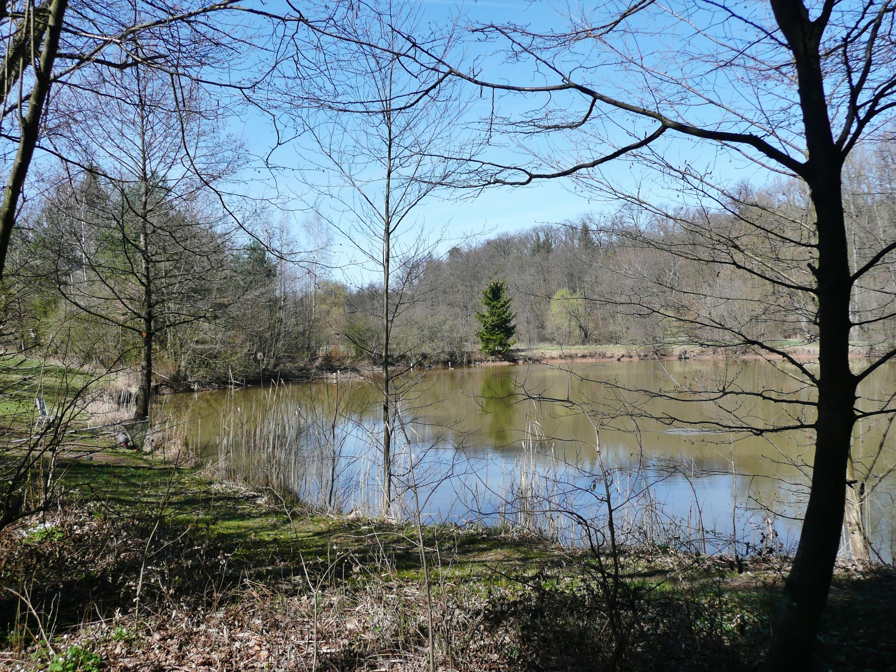 Fischteich neben dem Bach Metter bei Zaisersweiher