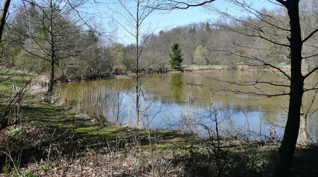 Fischteich neben dem Bach Metter bei Zaisersweiher
