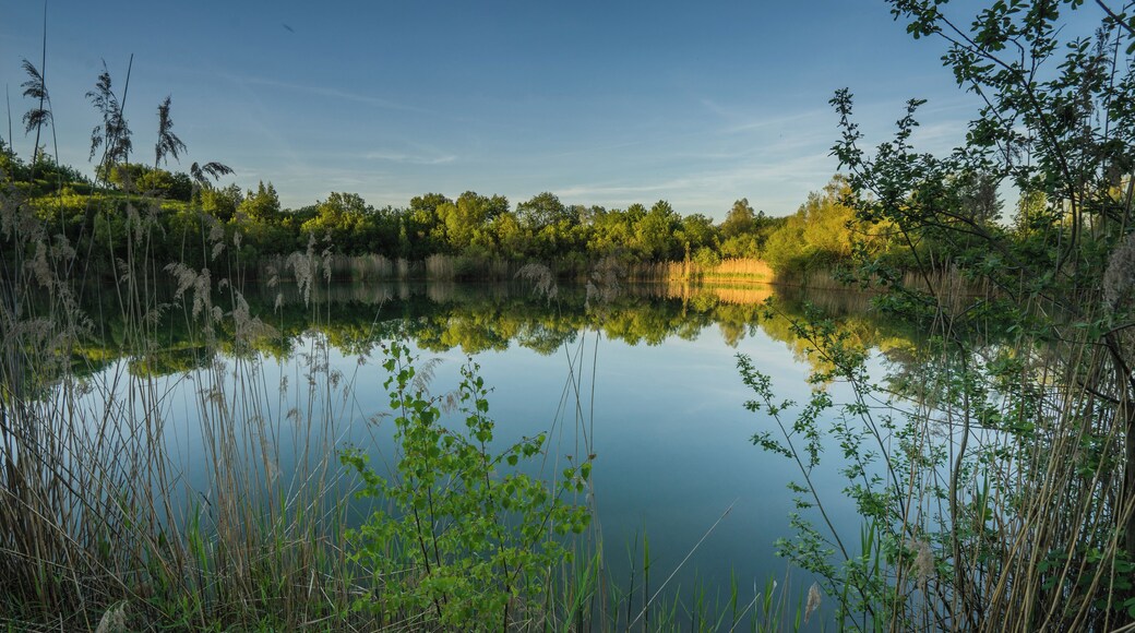 Naturschutzgebiet „Tongrube Gochsheim“, Baden-Württemberg, Deutschland