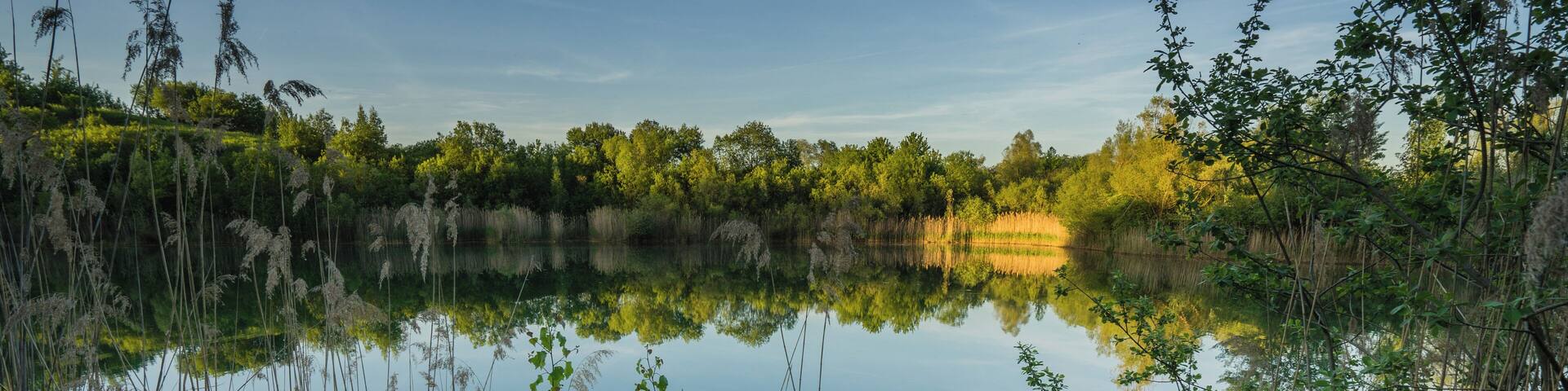 Naturschutzgebiet „Tongrube Gochsheim“, Baden-Württemberg, Deutschland