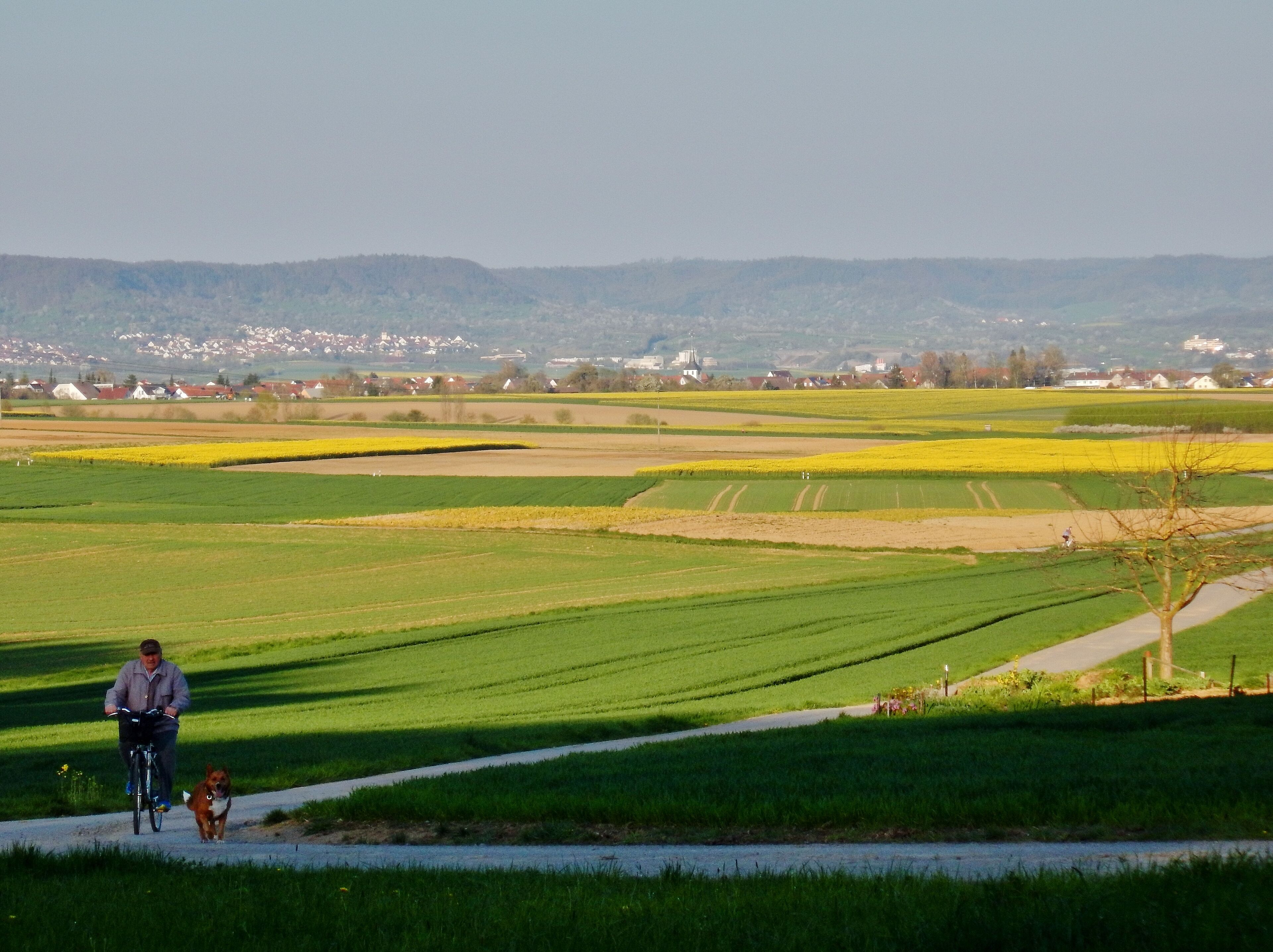 A rural landscape with fields, a path, and distant buildings.