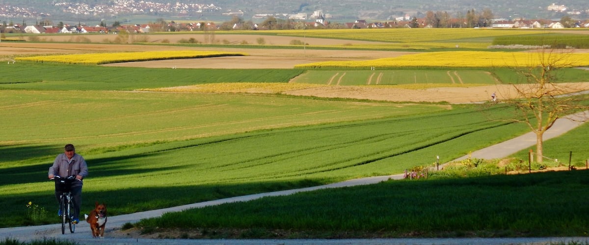 A rural landscape with fields, a path, and distant buildings.