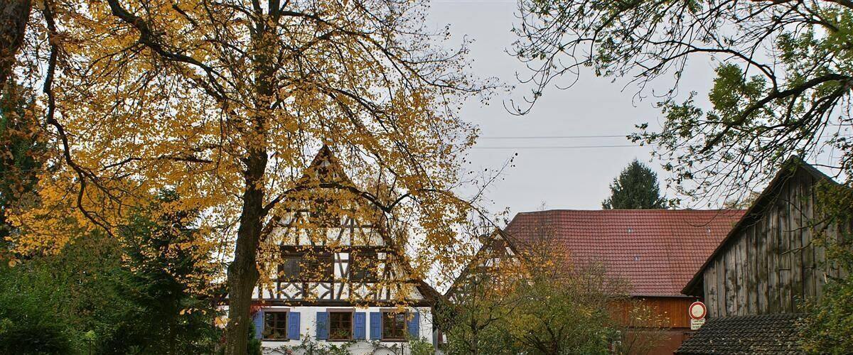 Königsbach - Traishof