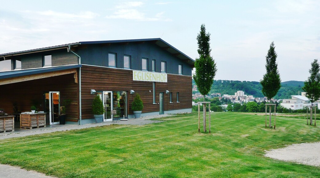 Hofladen Eglisenhof, Clauss Gemüse