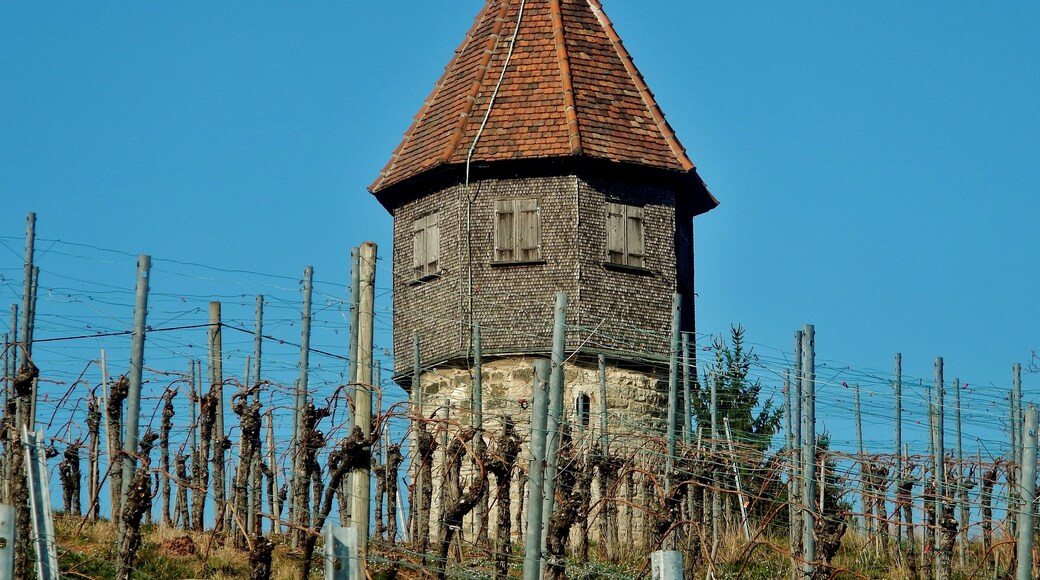 Allenberg-Turm bei Rüdern: Lusthäuschen, 1575 vom Esslinger Armenkasten in Form einen Turmes erbaut, wie es der Stadtamtmann Jos Burckhardt 1568 in seinem Testament verfügt hatte.