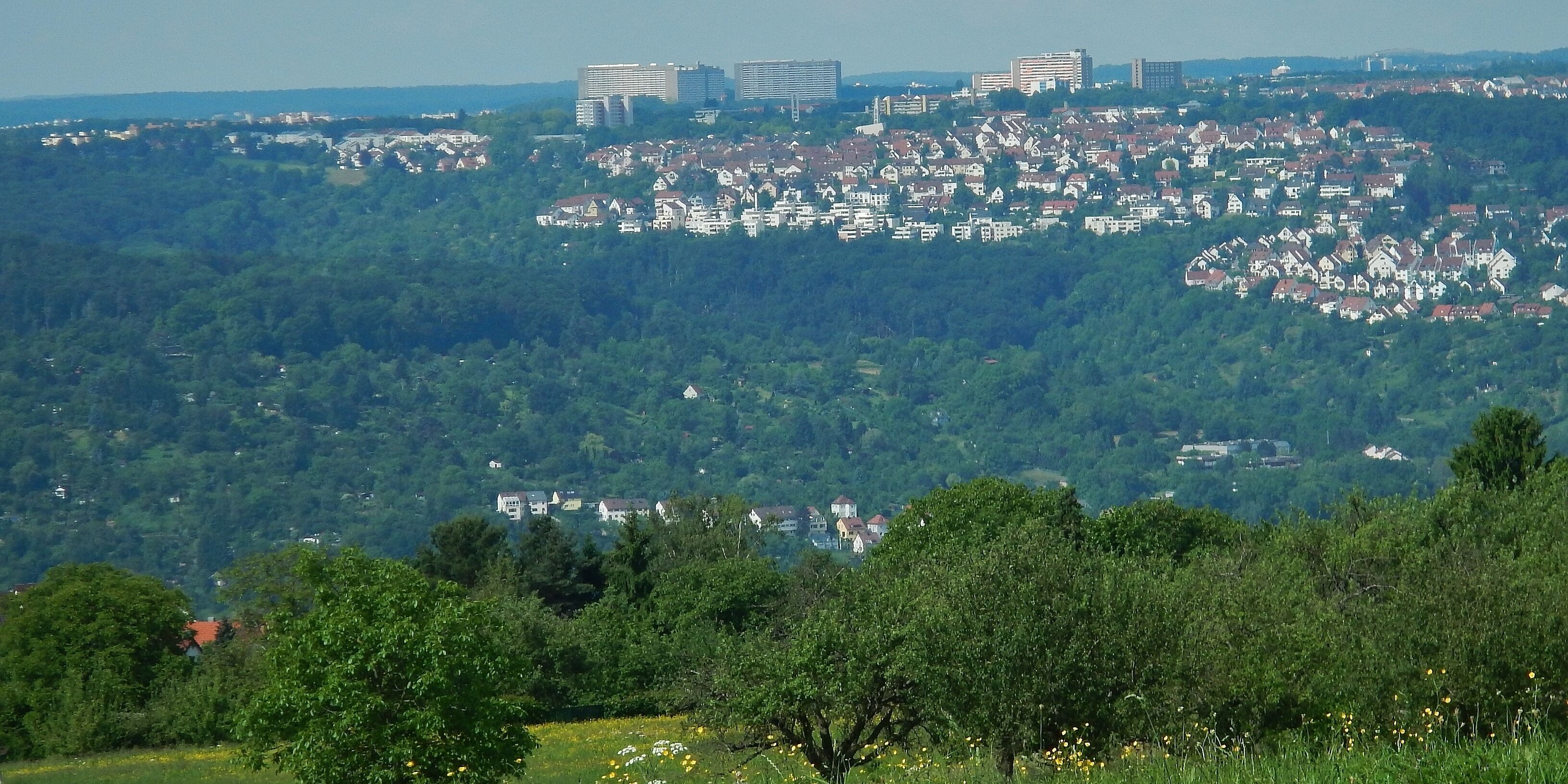 Blick über Esslingen bis nach Asemwald