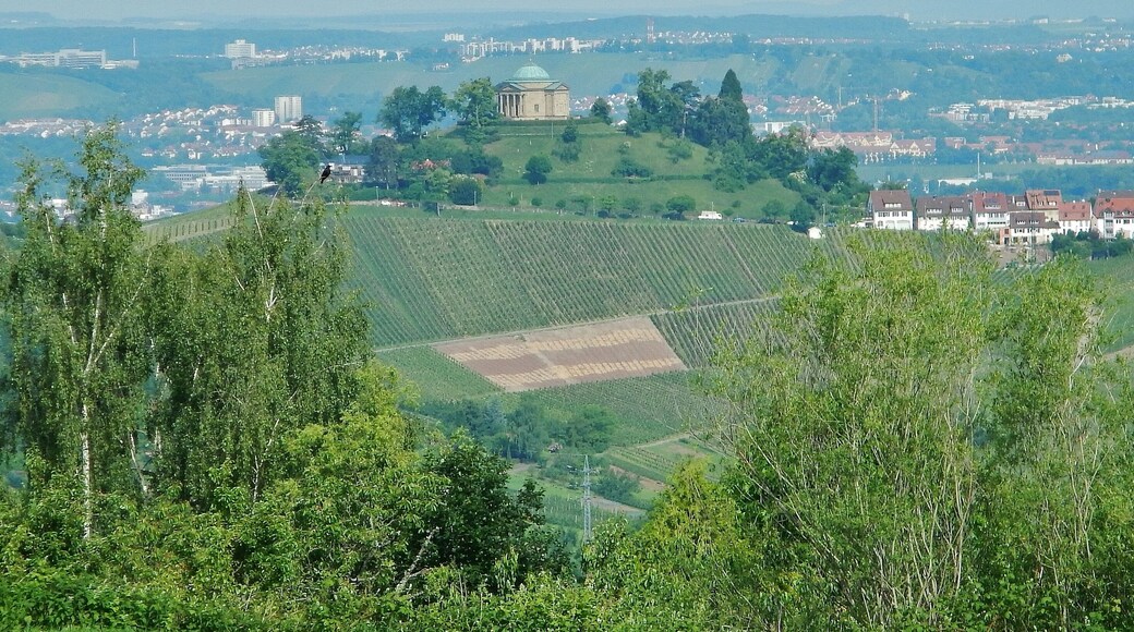 Blick vom Esslinger Höhenweg zur Grabkapelle Württemberg: Das Mausoleum wurde erbaut 1820/1824 von König Wilhelm I. für seine jung verstorbene Gemahlin Katharina Pawlowna (1788–1819) .