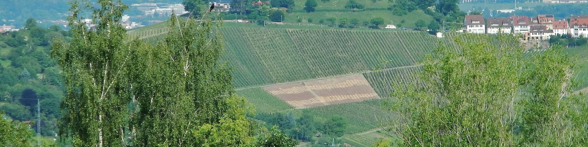 Blick vom Esslinger Höhenweg zur Grabkapelle WĂŒrttemberg: Das Mausoleum wurde erbaut 1820/1824 von König Wilhelm I. fĂŒr seine jung verstorbene Gemahlin Katharina Pawlowna (1788â1819) .