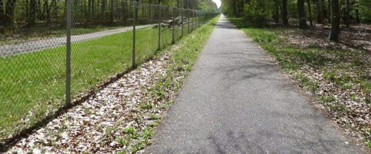 A paved path flanked by trees and a chain-link fence.