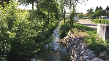 Katzbach in Stettfeld (Ubstadt-Weiher)